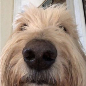 Meet your Posher, Jabir